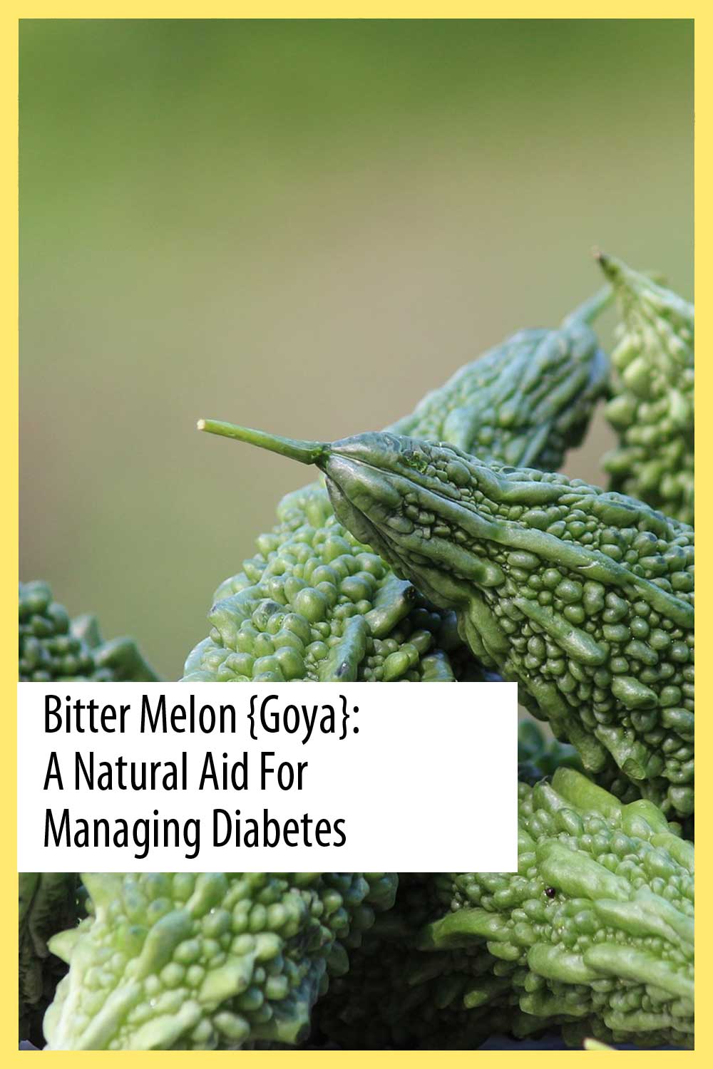 Bitter Melon {Goya}: A Natural Aid for Managing Diabetes